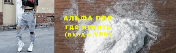 твердый Абаза