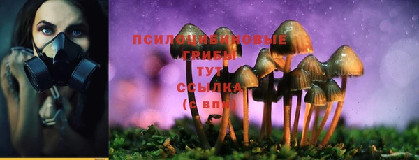 твердый Абаза