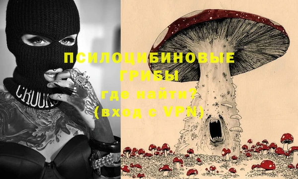 твердый Абаза