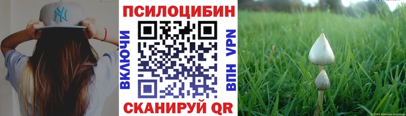 Галлюциногенные грибы Psilocybe  где продают   Лесозаводск 